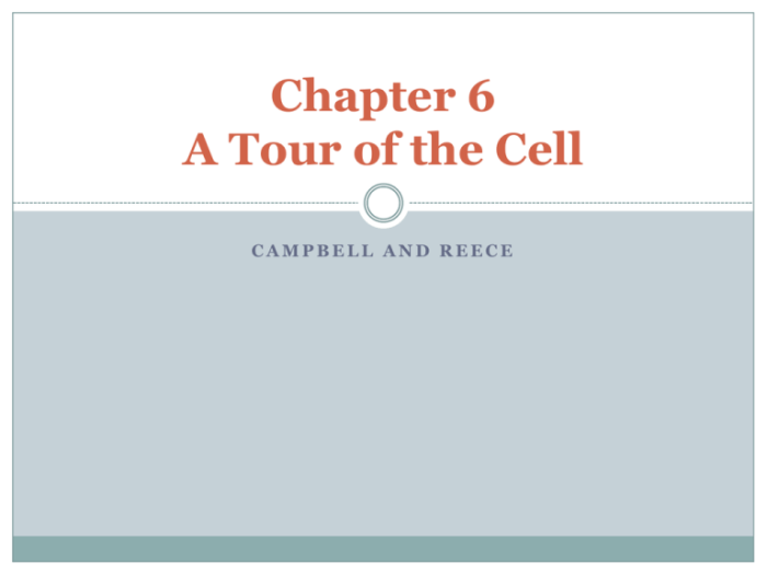 Tour of the cell chapter 6