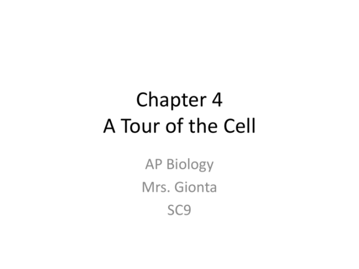 Cell tour 6b chapter