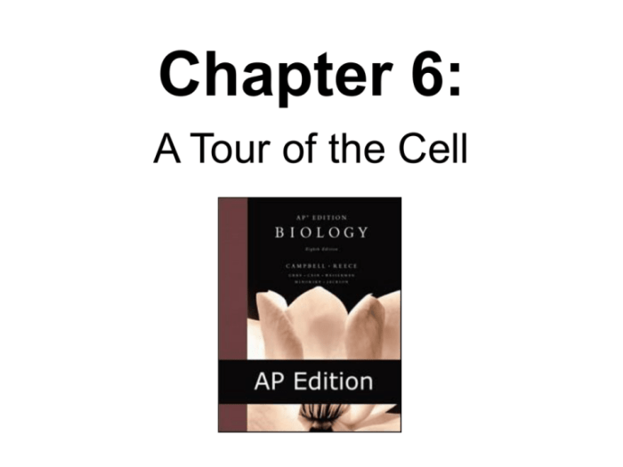 Tour of the cell chapter 6