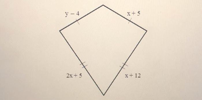 Find the values of the variables in this kite.