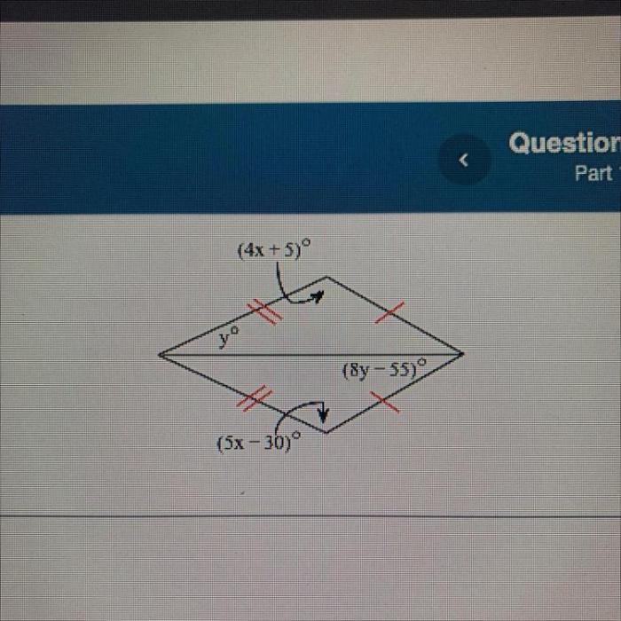 Find the values of the variables in this kite.