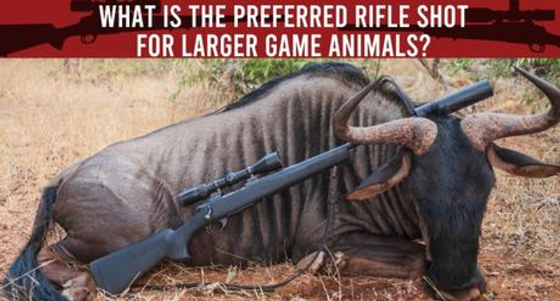 Preferred rifle shot for larger game animals